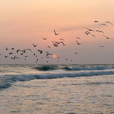 Lido Key Hideout With Patio And Yard And Walk To Beach! Sarasota Esterno foto